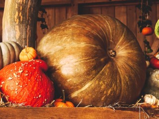 Rompicapo «The largest pumpkin»