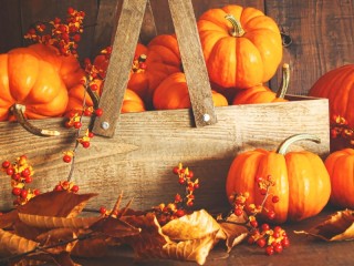 Rompicapo «Pumpkins and dry leaves»